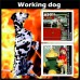 Фауна Пожарные собаки